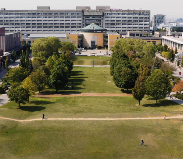 York University